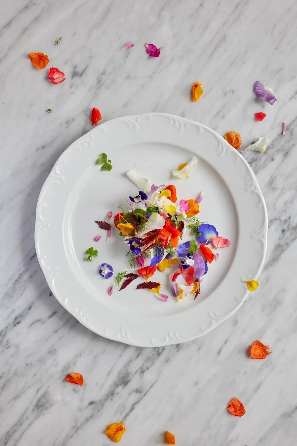 A plated dessert scattered with edible flowers on a white plate at Room4Dessert